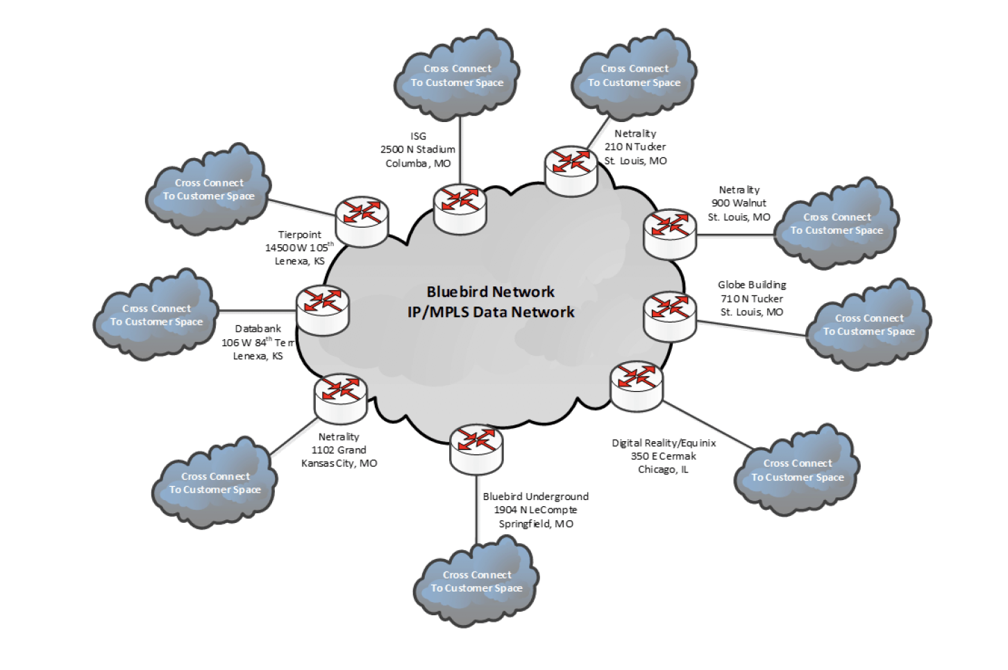 Bluebird Network IP / MPLS Data Network