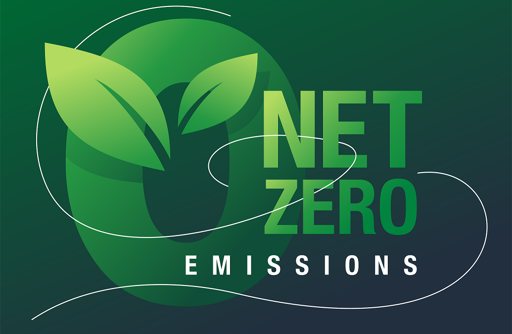 Bluebird Network Commits to Net-Zero Carbon Emissions by 2040